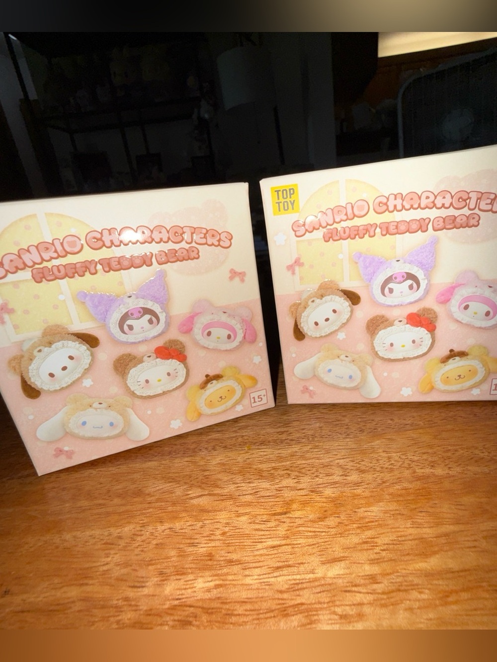 Sanrio/Top Toy Fluffy Teddy Bear Blind Box